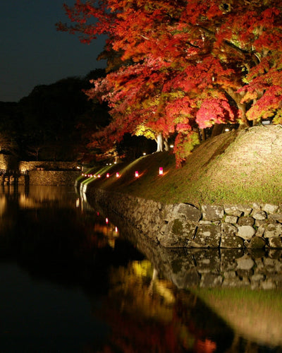 錦秋の玄宮園ライトアップ 2025